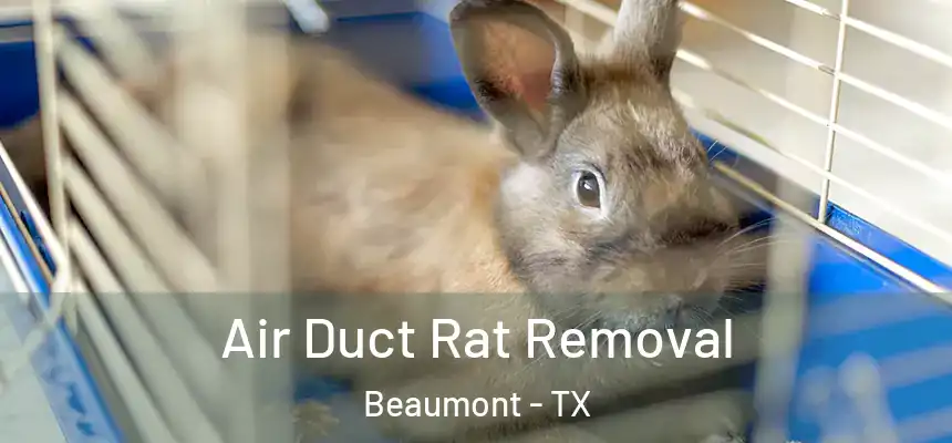  Air Duct Rat Removal Beaumont - TX