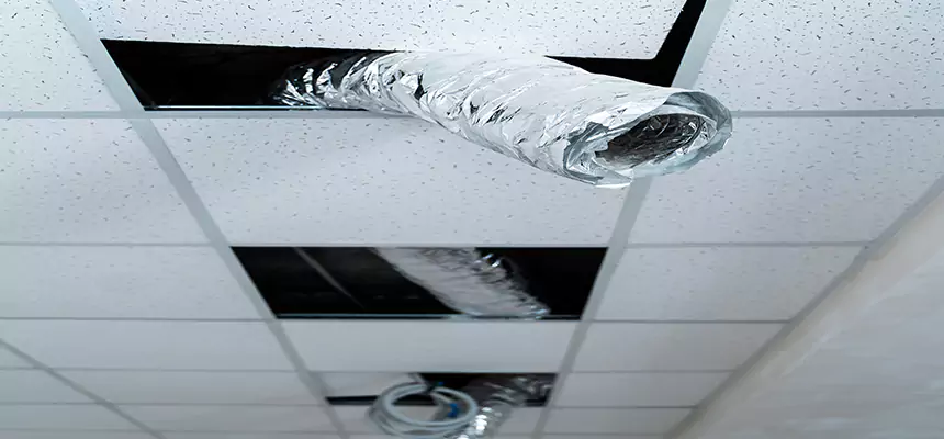 Affordable HVAC Sanitizing After Pest Removal in Beaumont