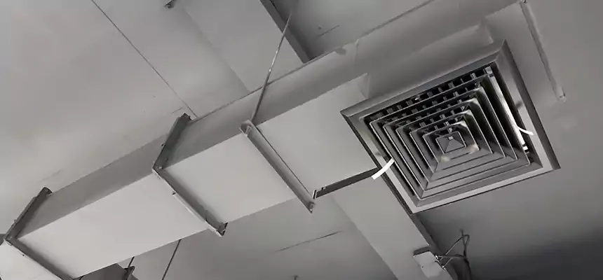 Our Rodent Droppings In Vents Services in Beaumont, TX