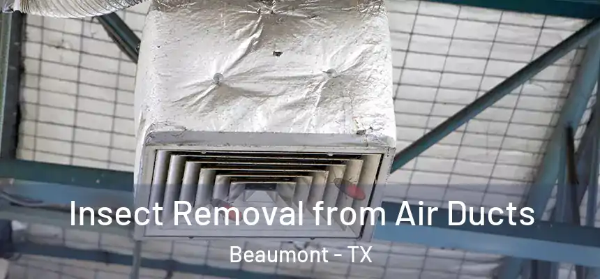 Insect Removal from Air Ducts Beaumont - TX