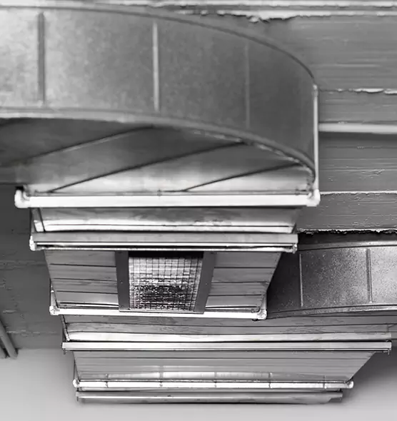 Professional Air Duct Pest Removal in Beaumont, TX