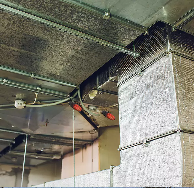 Why Homeowners & Businesses Trust Us in Beaumont, TX?