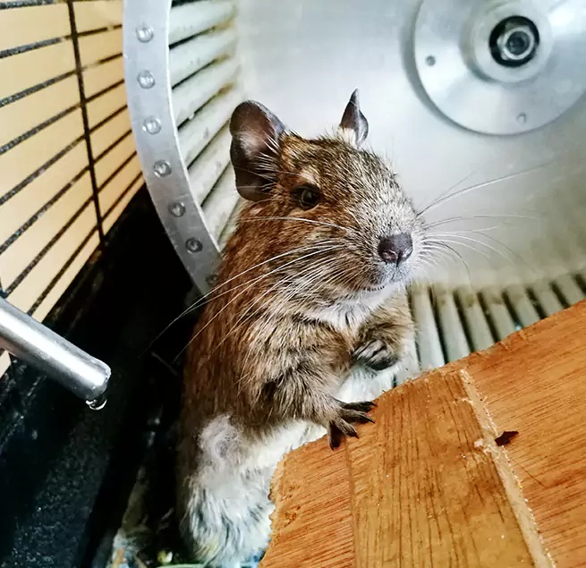 Why Homeowners & Businesses Trust Us Beaumont, TX