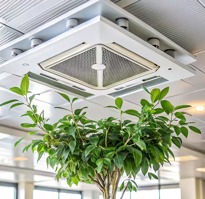 Why Homeowners & Businesses Trust Us in Beaumont, TX?